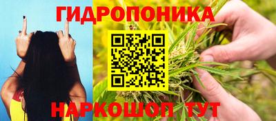 мдпв Анжеро-Судженск